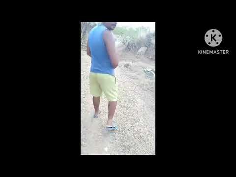 #Mais uma voltinha na mata aqui pela região e dando algumas explicações pela falta de vídeo no canal