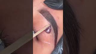 Brow Lamination + Tint 💖 #eyebrowtutorial #browlamination #explore #lasvegas #bayarea