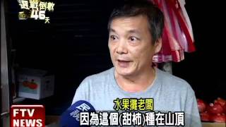 甜柿水柿紅柿 價格差很大!－民視新聞