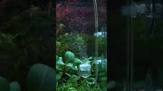 Aqua Style CO2 Medium Diffuser