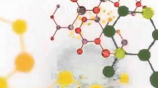Herbalife Quickspark CoEnzyme 1 (NADH) ATP Energy - Natural Energy at a Cellular Level