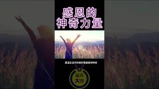 感恩的神奇力量｜腦洞大開心靈一點通 ｜宇宙吸引力法則｜心靈小品 ｜自我成長 ｜靈性覺醒 #shorts