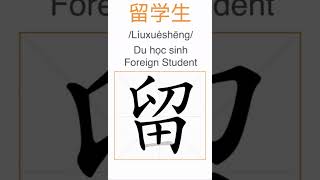 Cách viết từ 留学生 (Du học sinh) - How to write 留学生 (Foreign student)