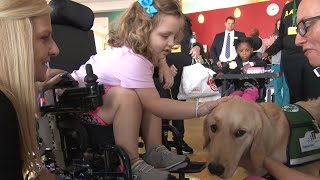 Therapy dog lifts spirits at Children's Hospital