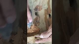 FILLED LARGE HOLE USING ALL PURPOSE EPOXY #solidwood  #trendingshorts  #diyworks