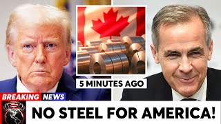 5 MINS AGO: Trump FURIOUS as Canada to Cut Off Steel Exports to US in Retaliation of Trump Tariffs