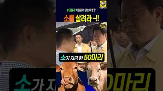 소를 살려라, 농민들 한분 한분 하소연 현장 해결 !! #이재명 #대통령 #현장 #홍수