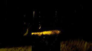 Pike hooked on Lowrance ActiveTarget Live Sonar #shorts
