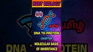 NEET Biology | DNA to Protein 🧬| NEET 2025 | NeetChennai | #neet2025  #neet #neetchennai
