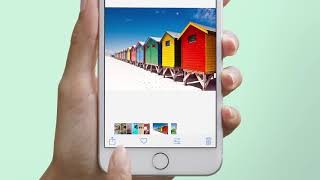 How to Enable Sharing for iOS | WhatsApp