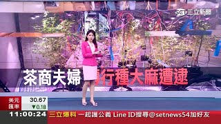 三立新聞主播劉宸希 新聞播報片段(2023/3/13)