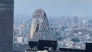 A View from Tokyo Government Building Observatory