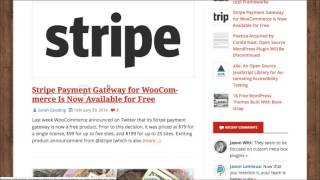 Categories vs Tags in WordPress