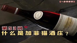 有外号的勃艮第酒庄（9）：效仿康帝成顶级红酒，慕西尼村三杰加菲猫
