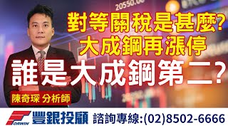 20250210 陳奇琛分析師｜對等關稅是甚麼? 大成鋼再漲停，誰是大成鋼第二?｜大成鋼、台積電、鴻海、中磊、華碩、台塑、新鋼、海光、有益