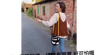 2019蒂寶追尋記