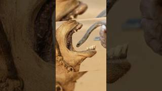 Camel Eats Snake, But Why?