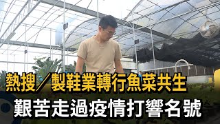 製鞋業二代轉行「魚菜共生」 溫室裁培環保又無毒－民視新聞