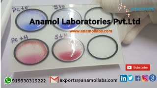 Widal 2x5 ml Video