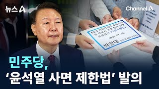 민주당, ‘윤석열 사면 제한법’ 발의 / 채널A / 뉴스A