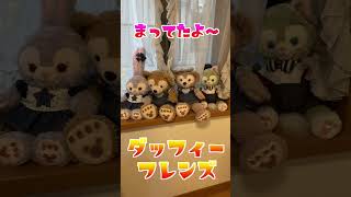 【ディズニー】ダッフィー&フレンズ勢揃い〜💕かわいすぎる〜💕💕 #shorts  #ダッフィー #シェリーメイ #ジェラトーニ #ステラ・ルー #クッキー・アン #オル・メル #リーナ・ベル