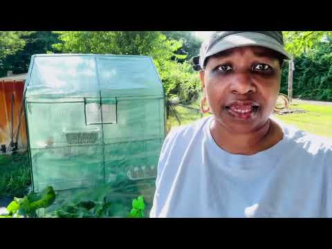 Gardening Journey | Sad Day | What is going on in my Garden| July Garden | Zone 7A