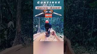 CARA TACAP JANGKAR‼️ menggergaji pakai chainsaw stihl070 #shortss