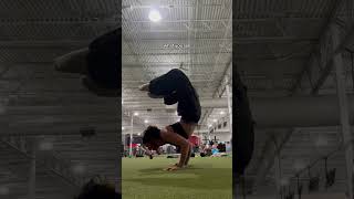 some falls are not graceful hahah #handstandpractice #handstands #calisthenics