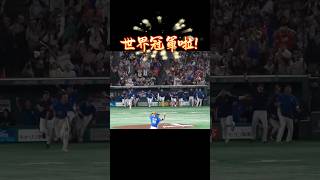 踩下台灣世界冠軍的一腳 WBCQ資格賽前回顧 #wbcq #baseball #中華隊