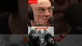 Joe Rogan: Imagine Watching Cavemen Discover Tools for the First Time #shorts #jre