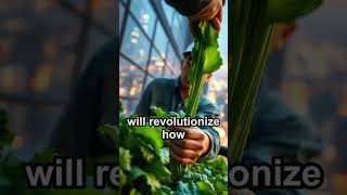 Amazing Secret of 50-Story Vertical Farm! 🌿🌆 #facts #viralshorts #shorts #trendin