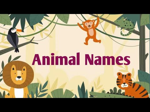Learn Animal Name Rhymes for kids | Animal Sound | Learn 20 animal names|  #kidsstudytv #learn