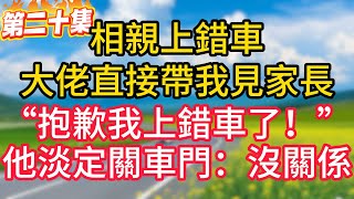 第二十集：相親上錯車，豪門繼承人直接帶我見家長。“抱歉我上錯車了！”他淡定關車門：我知道！#故事#言情小說#一口氣看完#爽文