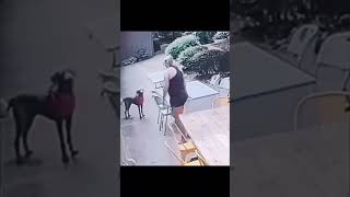 #funnyshorts #funnymoments #bloopers #failvideo #funnyvideo #shortclip #comedyshorts #dailyfunny