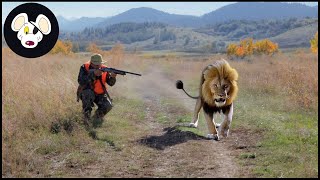 The Hunter Becomes The Hunted – How Do Selous Farmers Deal With Millions Of Lions