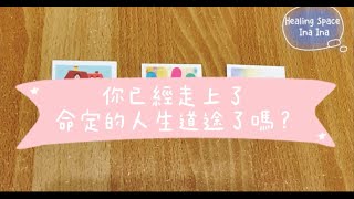 [天職系列] #43 你已經走上命定的人生道途了嗎？ (搭配 書籍"誰都是帶著心碎前行"和占卜小夥伴) ☆宇宙/天使傳訊☆