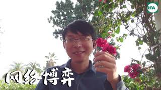 我给他们反洗脑—YouTube网红刘大圣专访（1）