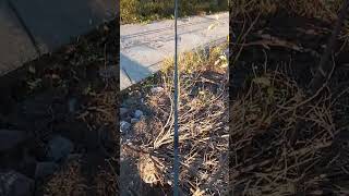 Trespassing at its finest 👌🏾 #trespasser #fishing #nature #illegal #freedom