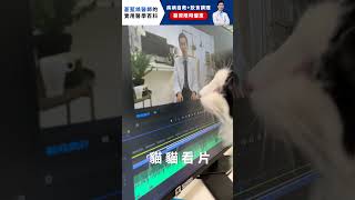 貓貓看片 #shorts