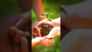 environment day sad status #saveearth #growtree