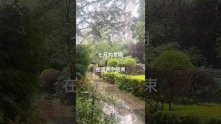 七月昆明在凉爽中结束#昆明 #travelvlog #kunming #云南旅行 #慢生活 #rainywalk #rainydayvlog