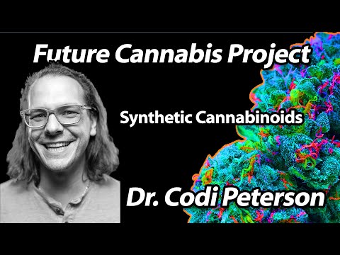 Synthetic Cannabinoids - Dr. Codi Peterson