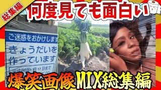 【🔥爆笑：総集編】何度見ても笑っちゃう面白画像＆映像集！ガルちゃんまとめ/2ch
