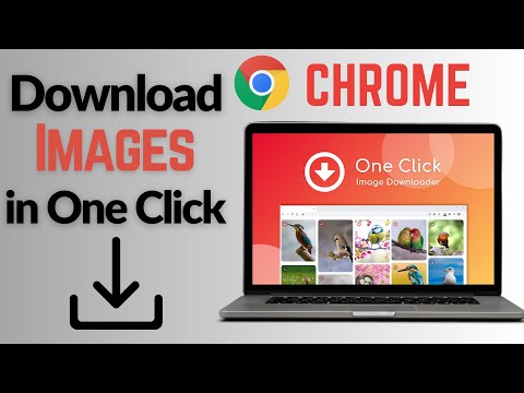 How to download Images from Google in laptop | How to Download Images from Web Pages | One Click