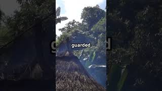 You Won't Believe What's Hidden in This Jungle #junglemystery #adventureshorts  #mysteryunveiled