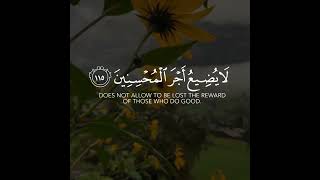 Quran Lines | Islamic Shorts Status | Islamic Videos | Quran Tilawat | Beautiful Quran
