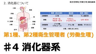 【♯4 消化器系-労働生理】-衛生管理者-　衛生管理者試験をわかりやすく解説　聞き流し