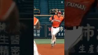 林佳緯打出場內全壘打！🦁️#模板 #林佳緯 #統一獅 #麟仔 #中職精華 #全壘打