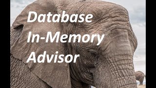 Database In-Memory Advisor