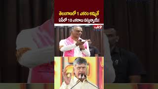 Harish Rao Shocking Comments On Chandrababu and Revanth Reddy |